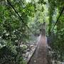 Minnamurra Rainforest Walk