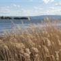 Lake Illawarra North-King St Foreshore & Bob Grabham Jetty