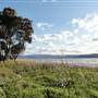 Lake Illawarra North-Purry Burry Avenue