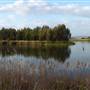 Lake Illawarra North-Budjong Creek Wetland