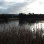 Lake Illawarra North-Budjong Creek Wetland