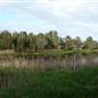 Lake Illawarra North-Budjong Creek Wetland