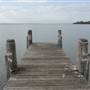 Lake Illawarra North-Tuggerah Bay Jetty