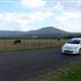 Wollongong Roads