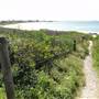 Shellharbour - The Shallows Coastal Reserve