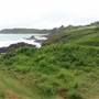 Bombo