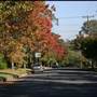 American style - houses & streets