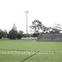 Janise Crosio Field