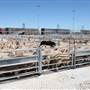 Central West Livestock Exchange