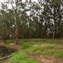 Yarramundi Reserve