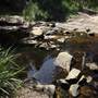 Georges River Nature Reserve