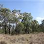 Georges River Nature Reserve