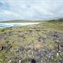 Cellito Beach