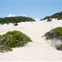 Fingal Spit