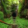 Helensburgh Tunnel