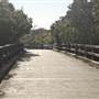 Ash Island Bridge