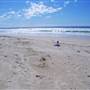 Brunswick Heads - Lifeguard Towers/Beach