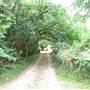 Brownlow Hill - File 2
