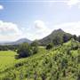 Nimbin