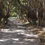 Nielsen Park