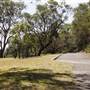 Nielsen Park