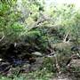 Bradley Reserve