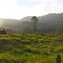 Kangaroo valley