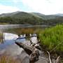 Kangaroo valley