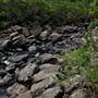 Bents Basin State Conservation Area