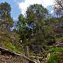 Flatrock Gully