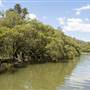 Georges River