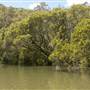 Georges River