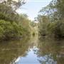 Georges River