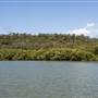 Georges River