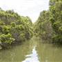 Georges River