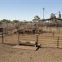 Coonamble
