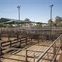 Coonamble
