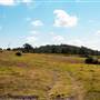 Scenic NSW Equine Centre