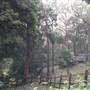 Private Horse Farm - Otford