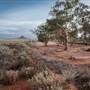 Pinnacles - Broken Hill