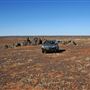 Pinnacles - Broken Hill