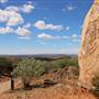 Broken Hill Sculptures Site and Living Desert