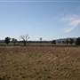 Mudgee