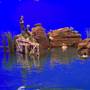 Disney Studios Australia - PRODUCTION STILLS