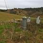 Hopeful Ranch Olive Farm File 4 Cemetery