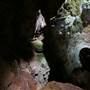 Jenolan Caves