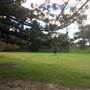 Centennial Park