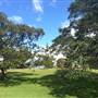 Centennial Park