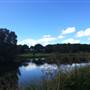 Centennial Park
