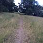 Centennial Park